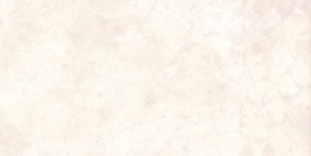 Плитка Canyon СN002040M светло-бежевый 40x20