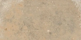 CSATENSA15 Керамогранит Terre Nuove Sand 15x30