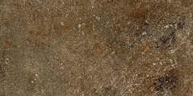 CSATENWA15 Керамогранит Terre Nuove Warm 30x15