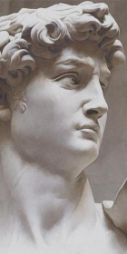 VT/B564/SG5918R Декор Давид и Венера Ковер 2 Матовый Обрезной 119.5x238.5