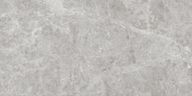 GT120604601PR Керамогранит Korinthos Серый PR 60x120