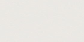 4101023 Керамогранит SCW Flamed 120x60