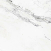 Плитка Insignia White Mate 59.5x59.5