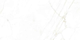 31739 Керамогранит Museum Dual White NT 60x120