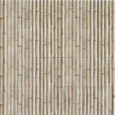PT03491 Плитка Bamboo White 30x15