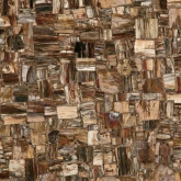 MC-SP10 Керамогранит Semiprecious Petrified Wood (Party) (Compound With Granit) 100x100