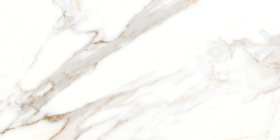 PGT120609903SGR Керамогранит Espero Белый 60x120