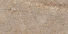 A17056 Керамогранит Silver Roots Серый 60x120