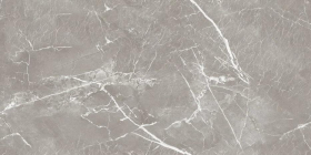 Керамогранит Glossy Charm Grey Polish 60x120