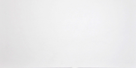 G-100/MR/300x600x9 Керамогранит Domino Белый MRx9 30x60