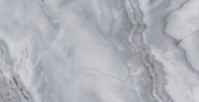 Керамогранит Ariostocratic Style FSS12062 Light Luxury Pol 60x120