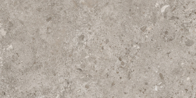 44BZP39 Керамогранит Bierzo Gris Seda 60х120