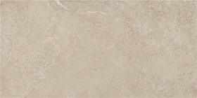 Керамогранит Arenite Natural Matt 60x120