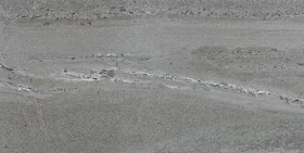 Керамогранит Whitehall Gris Pulido 45х90