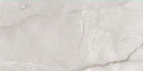 KSW612DG008 Керамогранит Fish Maw Ash Digital Carving 60x120