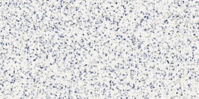 Керамогранит Frammento Macro Azzurro R10 RT 60x120