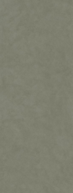 Керамогранит Про Чементо Зеленый светлый матовый обрезнойx0.6 119.5x320