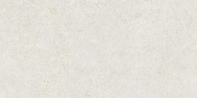 Керамогранит Mold Mist R 60x120
