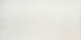 Керамогранит Sardeni Bone 59.8x119.8