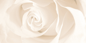 EC2L011 Декор Effecta Бежевый цветы 29.8x59.8