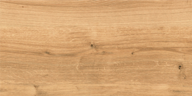 16346 Керамогранит Woodhouse Коричневый 16346 29.7x59.8