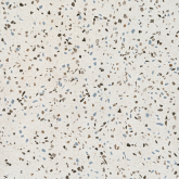 Керамогранит Terrazzo Blu 60x60