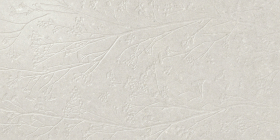 Плитка Greystone Divine White Rect 60x120