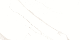 Pushkar White Matt 60x120