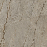 Керамогранит Marble Wild Forest Matt 9mm 120x120
