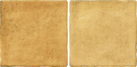 Керамогранит Bright Senape 10x20