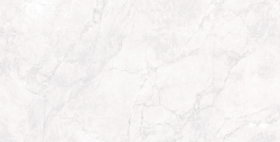 Керамогранит Arctic White Carving 60x120