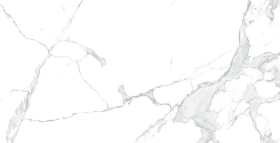 Керамогранит Paradise Statuario Matt Glossy Ink 60x120