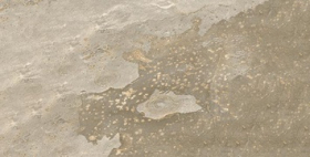 Керамогранит Bali Sand In&Out 60x120