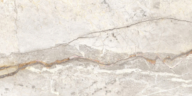 Керамогранит Mystone Silver Root White Rett R10 60x120