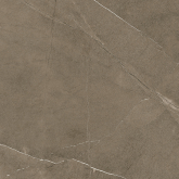 610010002696 Керамогранит Фьямма Бронз 60x60