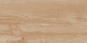 Керамогранит Paint Wood Bone Gloss 60x120