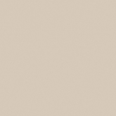 RW01/NS_R9/60x60x10R/UC Керамогранит Rainbow RW01 Ivory 60 неполированный рект. 60x60