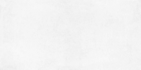 Керамогранит Betonica Blanco PRO Светло-серый матовый R11Soft 60x120