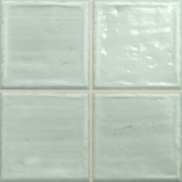 Плитка Noa Fern 20x20