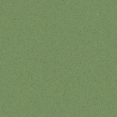 Керамогранит Micra R Verde R10 80x80