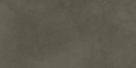 Керамогранит Tandem R Antracita R10 60x120