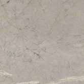 Керамогранит Elements Lux Silver Grey Silk RT 120x120