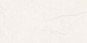 Плитка Salvador Crema 31.5x63