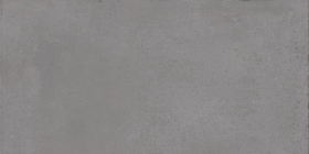 Керамогранит Мирабо Серый матовый обрезнойx0.9 60x119.5