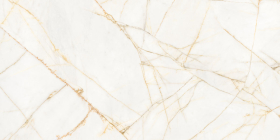 Керамогранит Supreme Hedonism Golden Spider Nat R 60x120