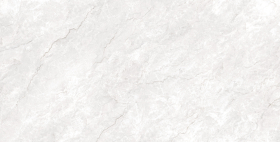 Керамогранит Ferrol White Matt Glossy Ink 80x160