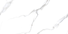 Керамогранит Rizzi Statuario Carvino Polished 60x120