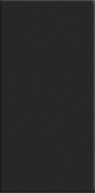 80129 Керамогранит Olympic Series Black 12x24.5