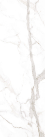 LAMF006093 Керамогранит I Naturali Marmi Calacatta Oro Venato 5 100x300