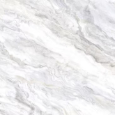 Керамогранит Aurora Carving 60x60